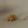 Levantine Silk Sponge - 08 cm